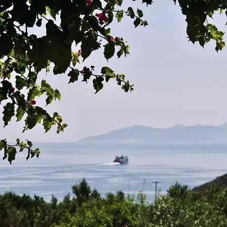 Niel Serifos * Ράμος